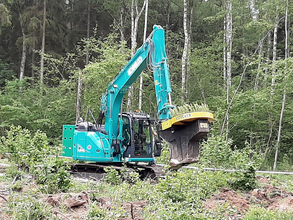 KOKUS STĀDA EKSKAVATORS