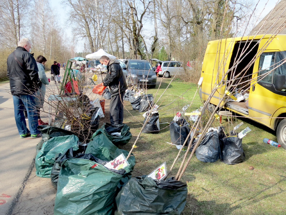 PĀRCEĻ UZ RAIŅA IELU