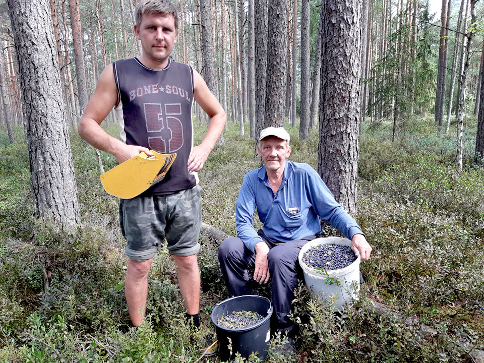 MAZA ODZIŅA, LIELA VĒRTĪBA