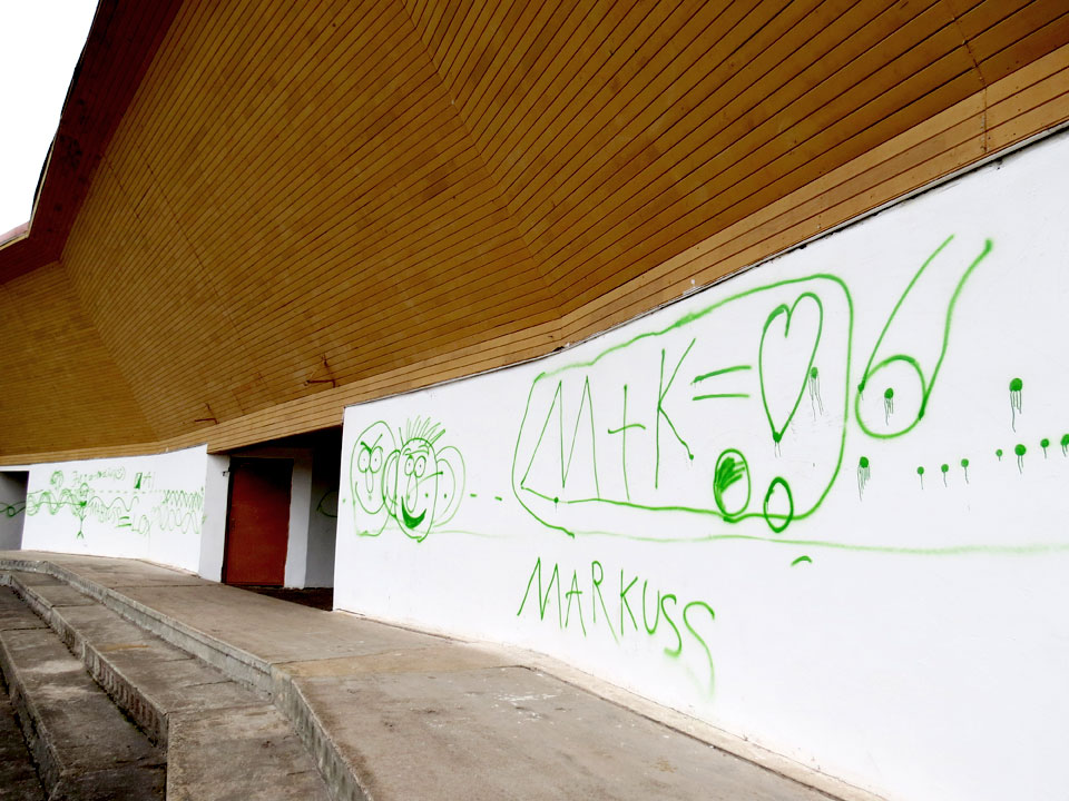 VANDALISMS SALIŅĀ