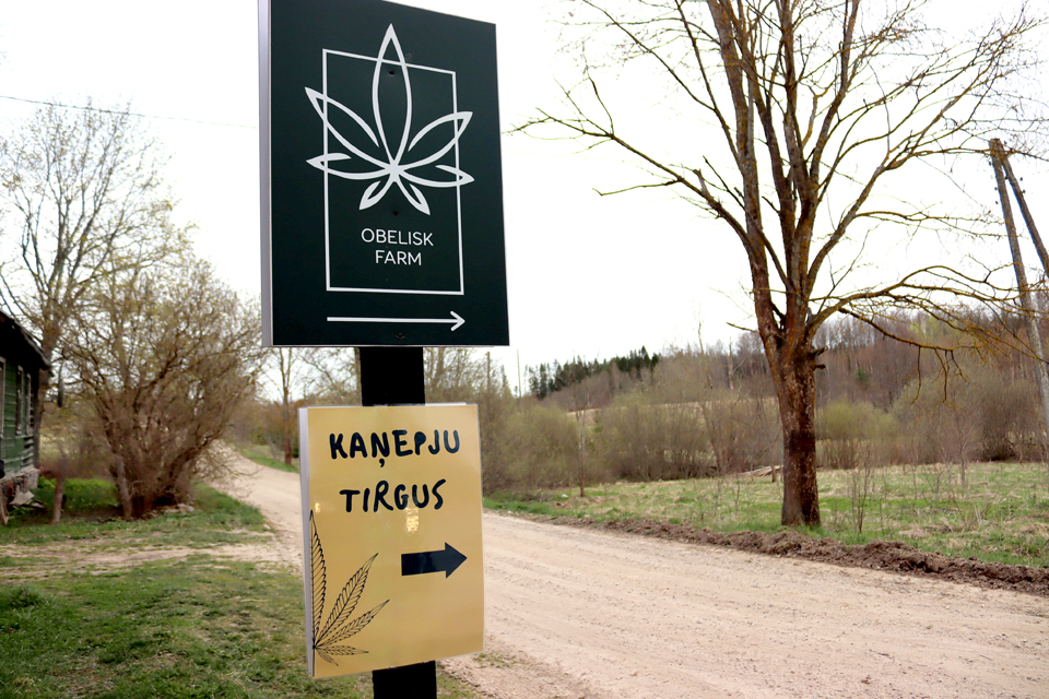 VELTĪTS KAŅEPĒM