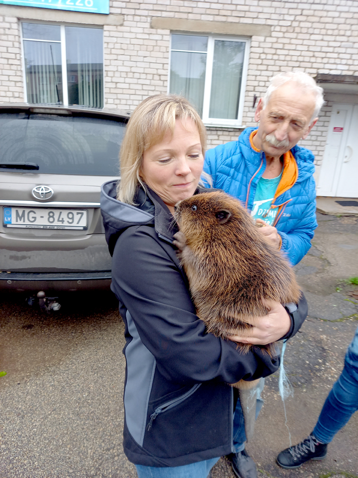 Bobijam atrastas mājas Līgatnes dabas takās