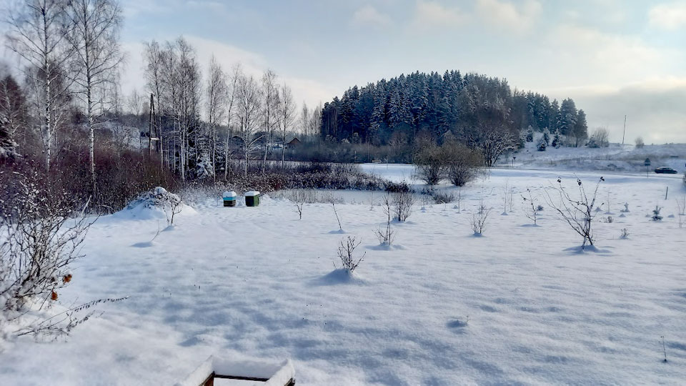 apvienības pārvalde: vadītājs un divi vietnieki