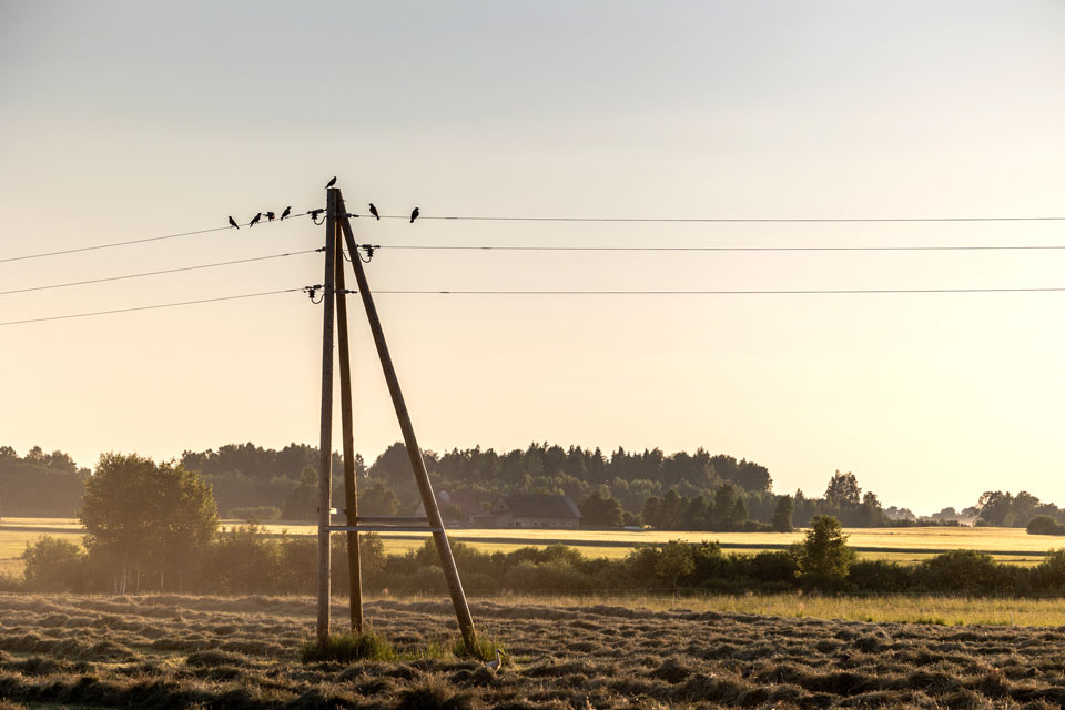 Kas jāzina par elektrības sadales tarifu samazinājumu