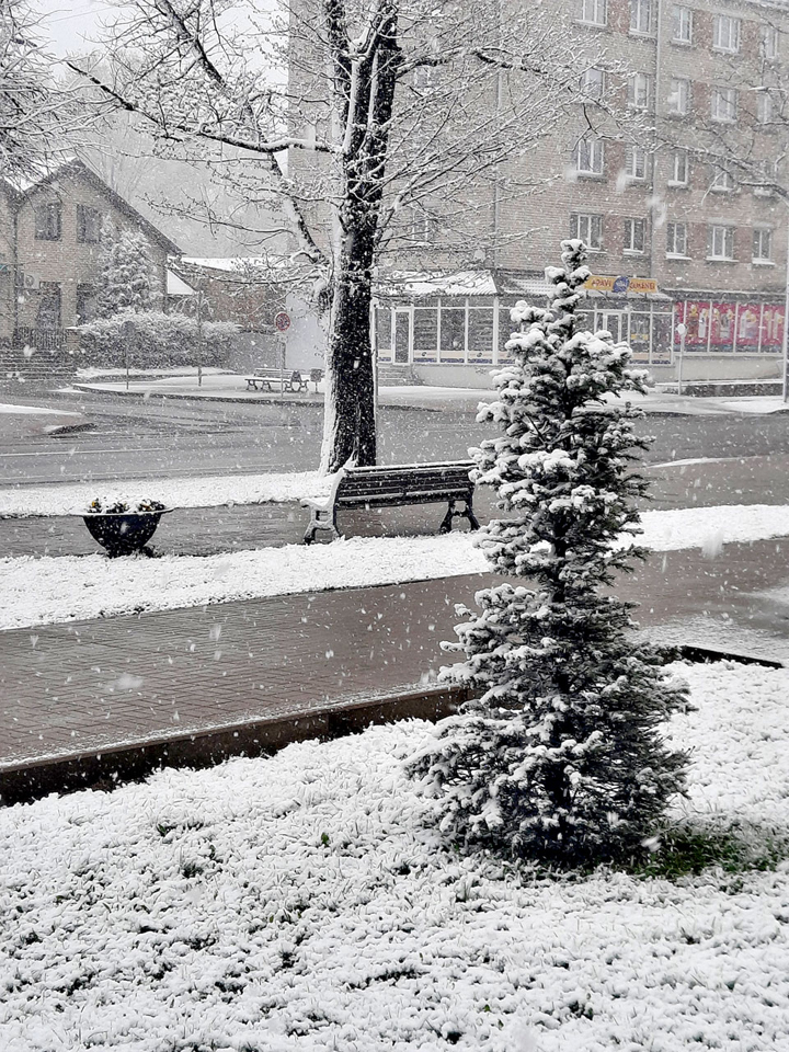 aprīļa cīruļputenis