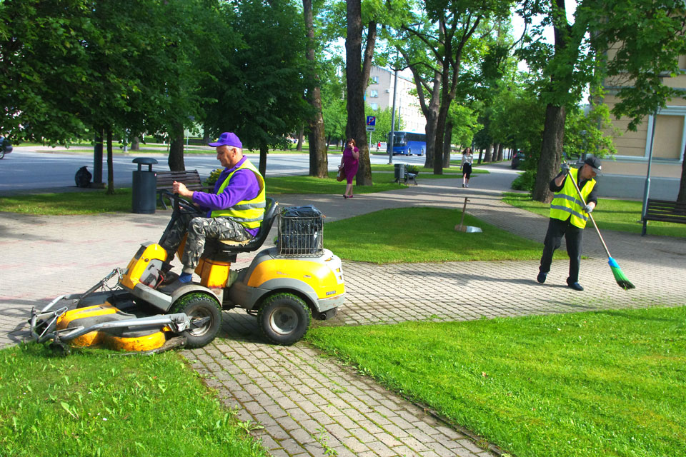 bet pagalmā aug zāle