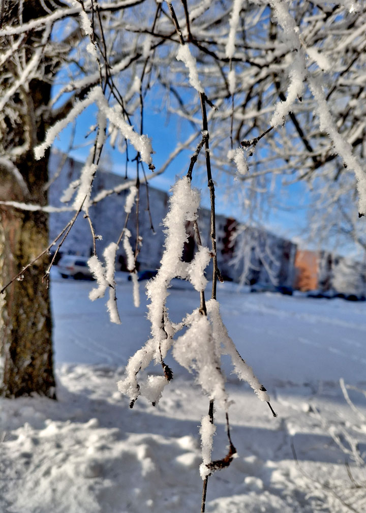 LAI RĒZEKNE – SKAISTĀKA, ZAĻĀKA UN DROŠĀKA